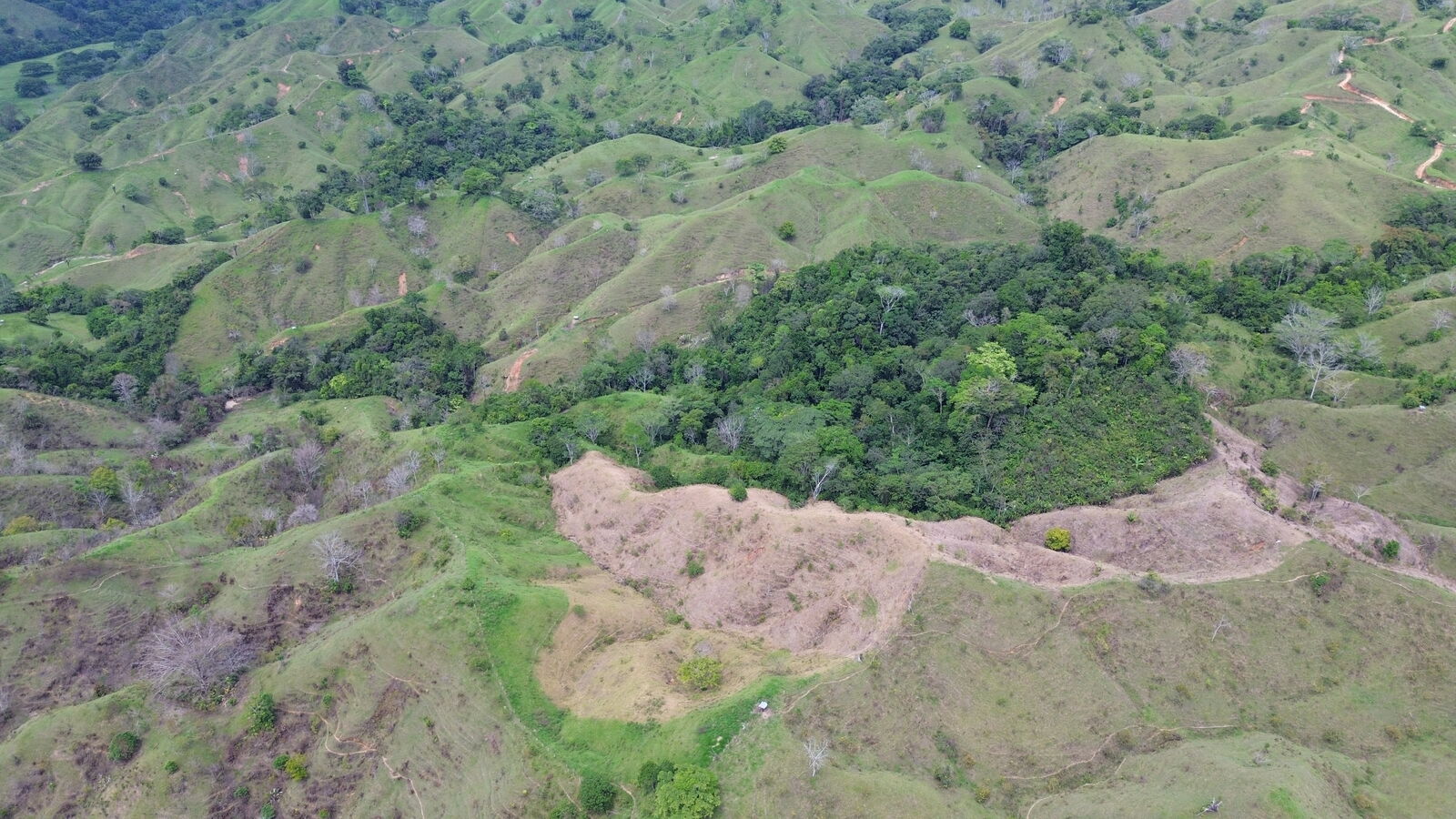 Aerial view of Finca El Jaguar, an organic cacao farm surrounded by native forest in Maceo, Antioquia